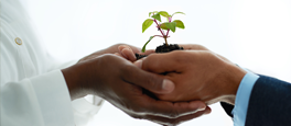 Corporate Social Responsibility Hands